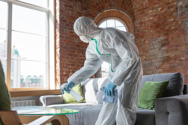 Reliable Mcminnville, TN Mold Removal Services Solutions